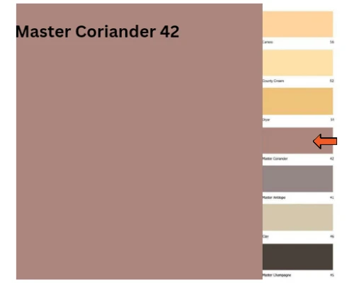 Master Coriander - 42 (Synthetic Enamel)