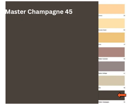 Master Champagne- 45 (Synthetic Enamel)