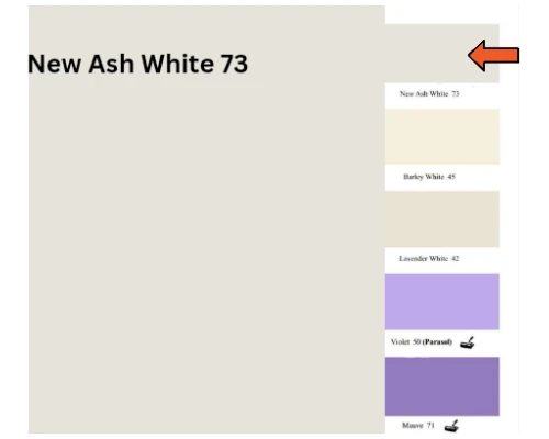 New Ash White - 73 (Super Emulsion)