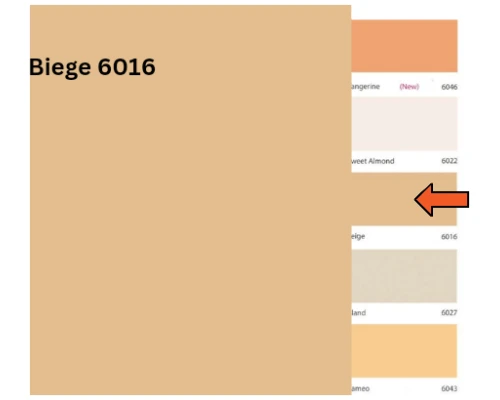 Biege - 6016 (Weather Resistant)
