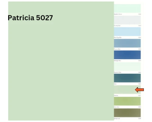 Patricia - 5027 (Plastic Emulsion)