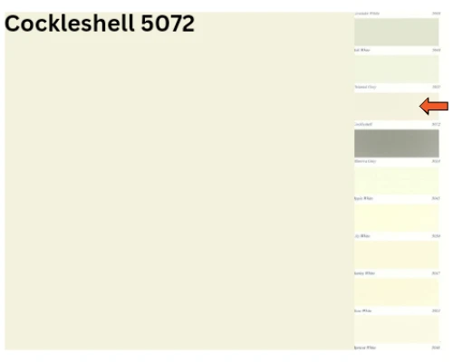 Cockleshell - 5072 (Plastic Emulsion)