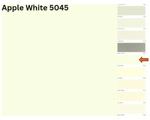 Apple White - 5045 (Plastic Emulsion)
