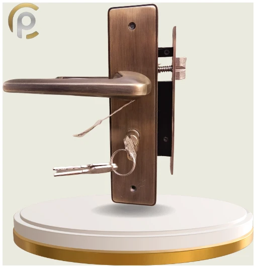 20240217_202509_0005