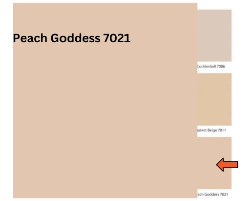 Peach Goddess - 7021 (Royal Matt Emulsion)