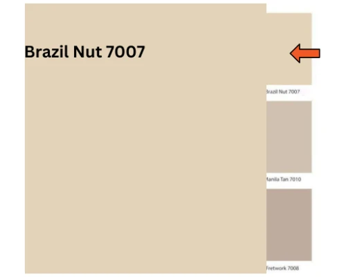 Brazil Nut - 7007 (Royal Matt Emulsion)
