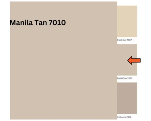 Manila Tan - 7010 (Royal Matt Emulsion)