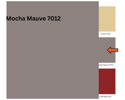 Mocha Mauve - 7012 (Royal Matt Emulsion)